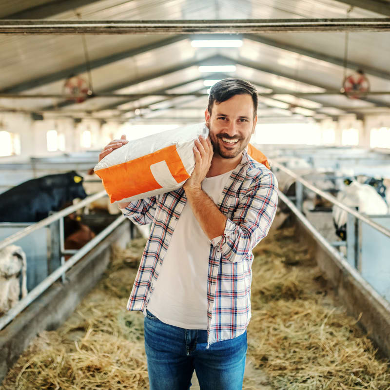 Beef Farm Insurance | Ayr Farmers Mutual | Mutual insurance for home, car,  farm, and business in Ayr, Ontario
